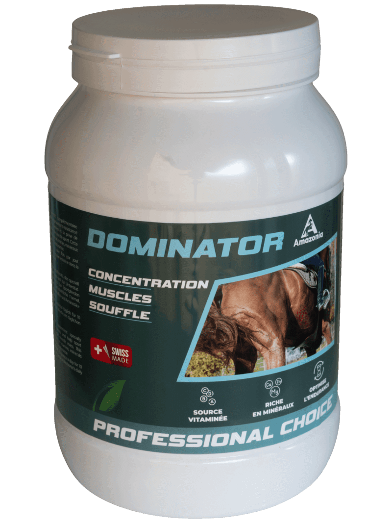 Dominator (1.5 kg)