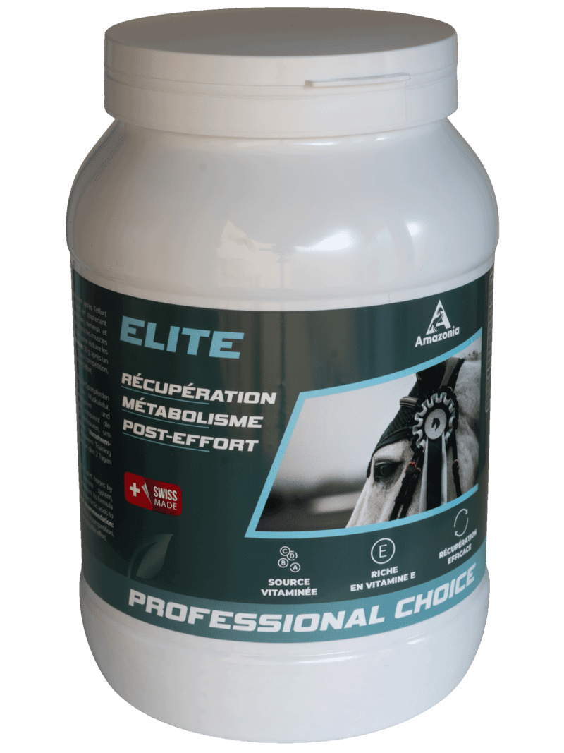 Elite (1.5 kg)