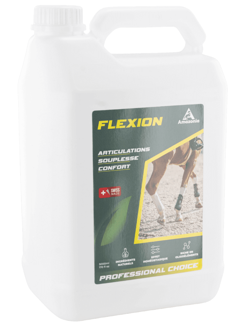Flexion (5l)