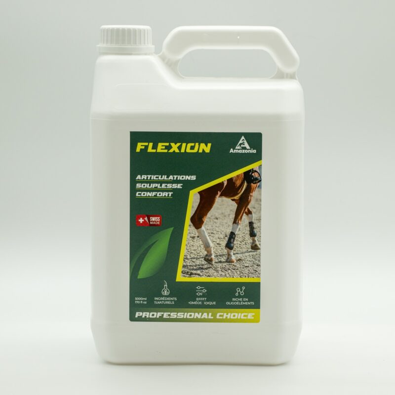 Flexion (5l)